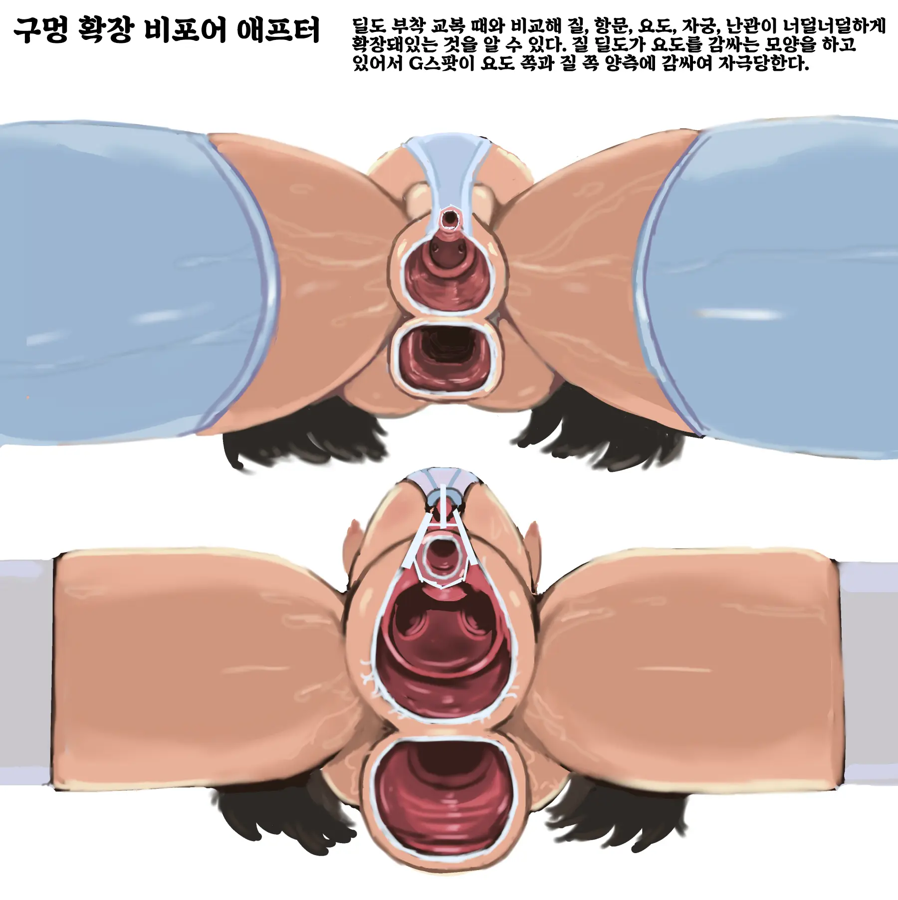 Dorei Ojou-Sama Zenana Acme Choukyou Gakuen | 노예아가씨 전구멍절정조교학원